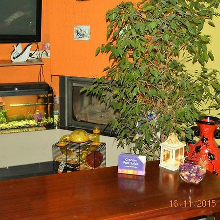 Honey Hostel คราคูฟ ภายนอก รูปภาพ